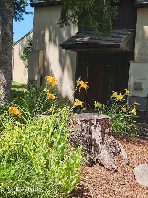 apt-e5-115 Beechnut St, Johnson City, TN, 37601-1521 | Card Image