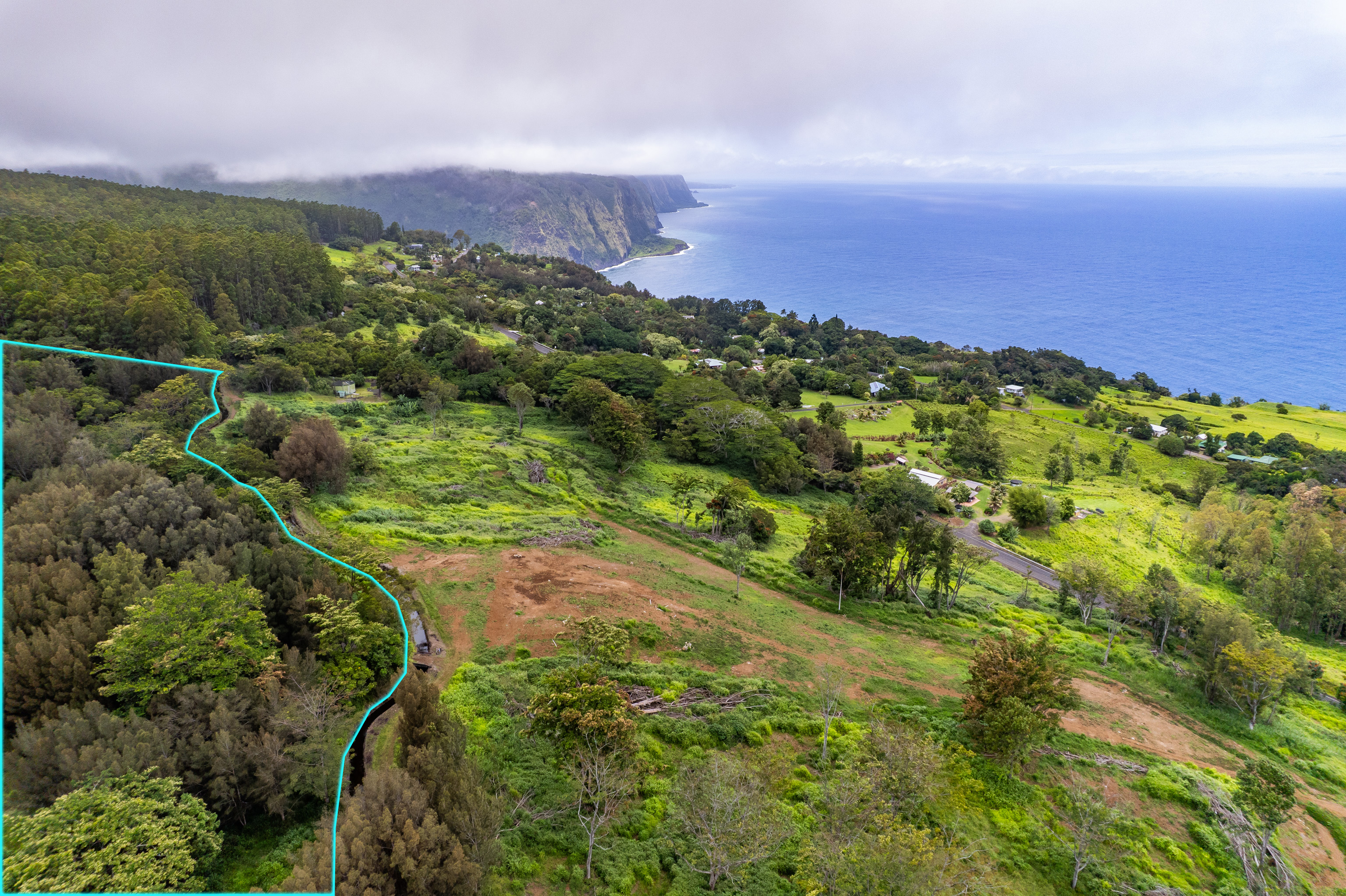 Land in Honokaa