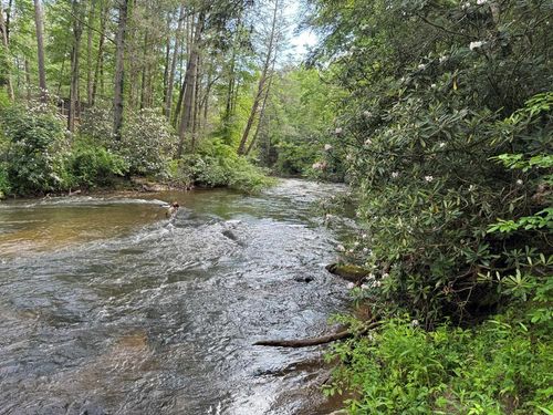 Lot 61 White Pine Trl, Suches, GA, 30572 | Card Image