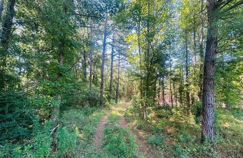 18.3 Acres - Turkey Ln, Kingstree, SC, 29556 | Card Image