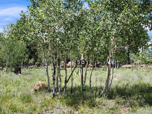 501 Cr-403, Florissant, CO, 80816 | Card Image
