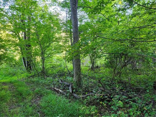 188 Old Stage Rd, Saugerties, NY, 12477-4431 | Card Image
