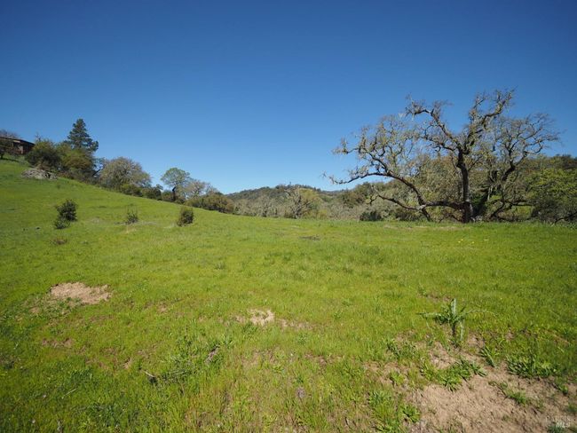 23655 Vineyard Rd, Home with 0 bedrooms, 0 bathrooms and null parking in Geyserville CA | Image 14
