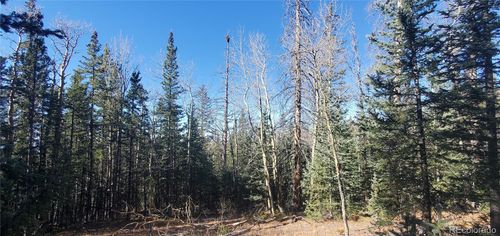 Lot 6581 Ackerman Rd, Fort Garland, CO, 81133 | Card Image