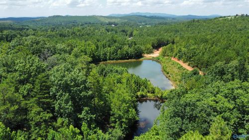 11.54 Acres Tuckaway Lane, Piedmont, AL, 36272 | Card Image