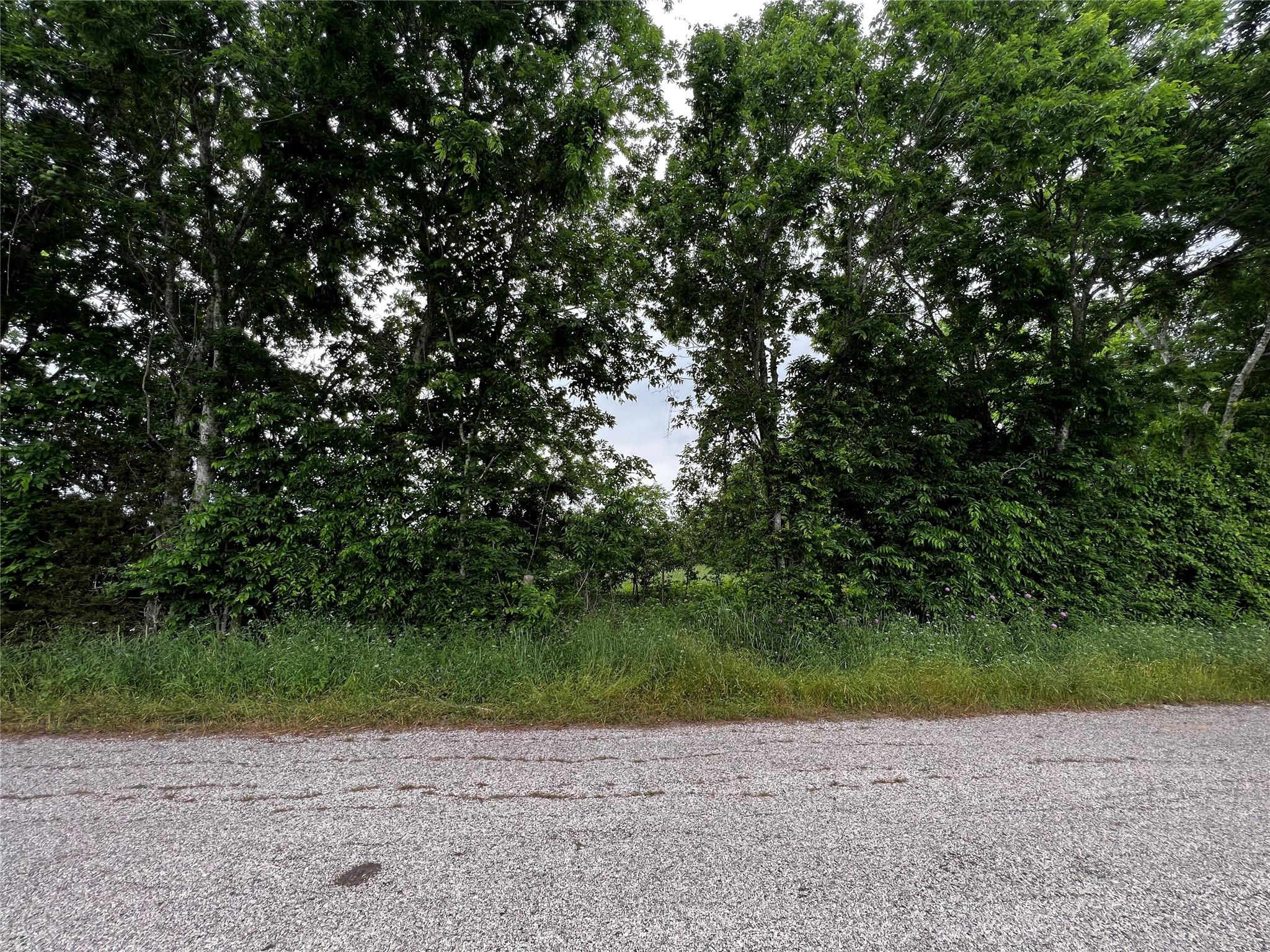 Land in Brenham 4