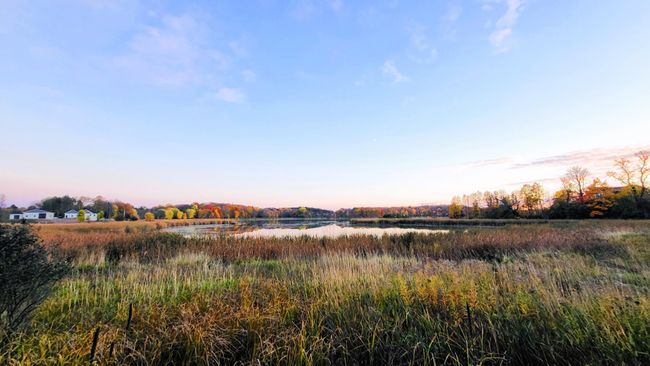 South Center Lake | Image 8