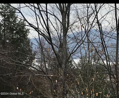 8 Lake Ridge Rd, Bolton Landing, NY, 12814 | Card Image