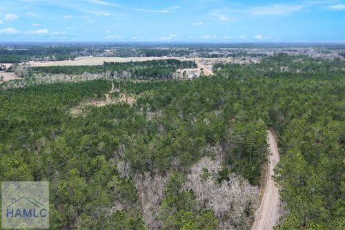 TRACT 1 Wheaton Road, Odum, GA, 31555 | Card Image