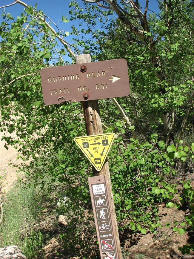 Local trails | Image 48