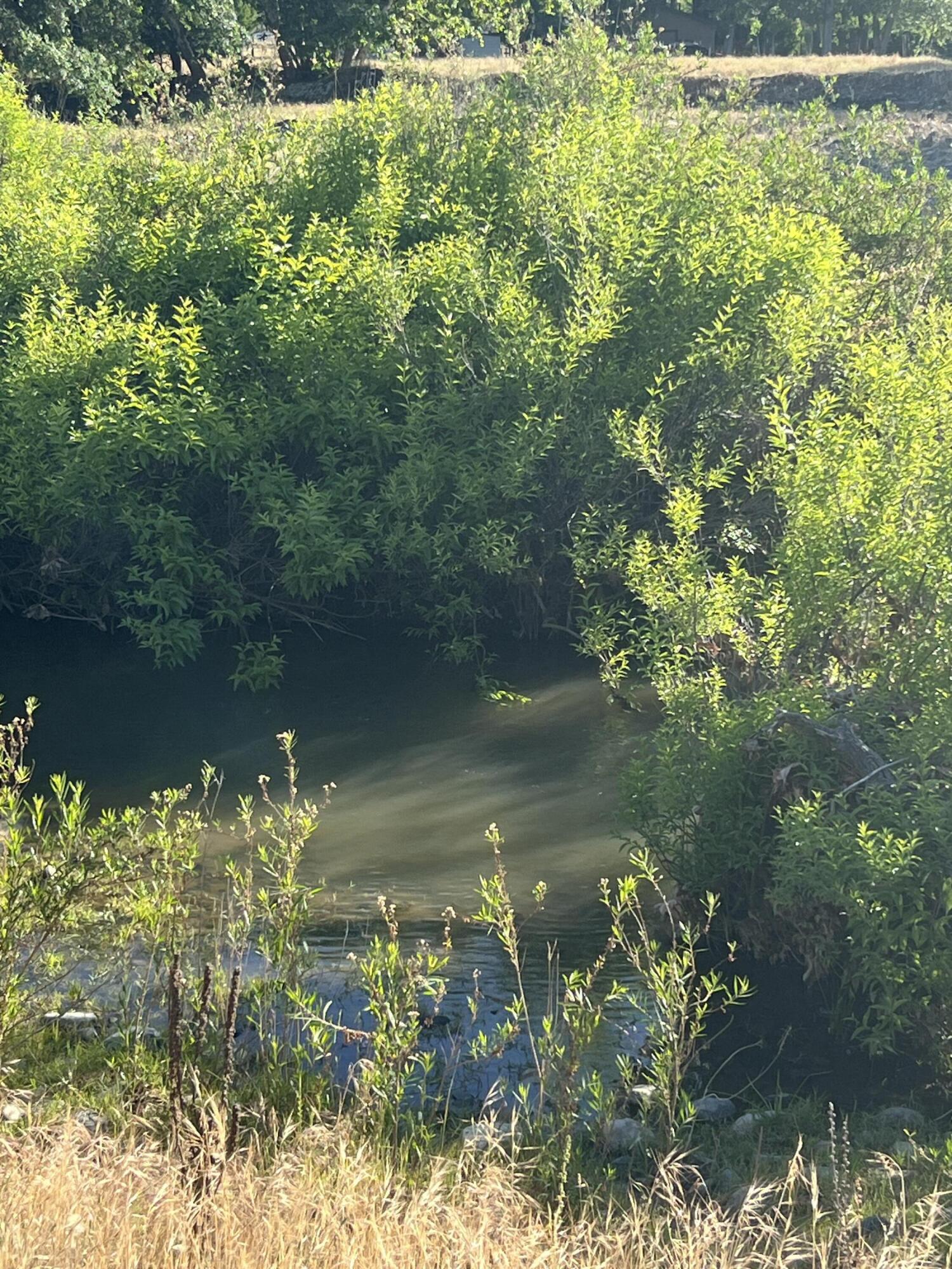 Land in Sanger 3