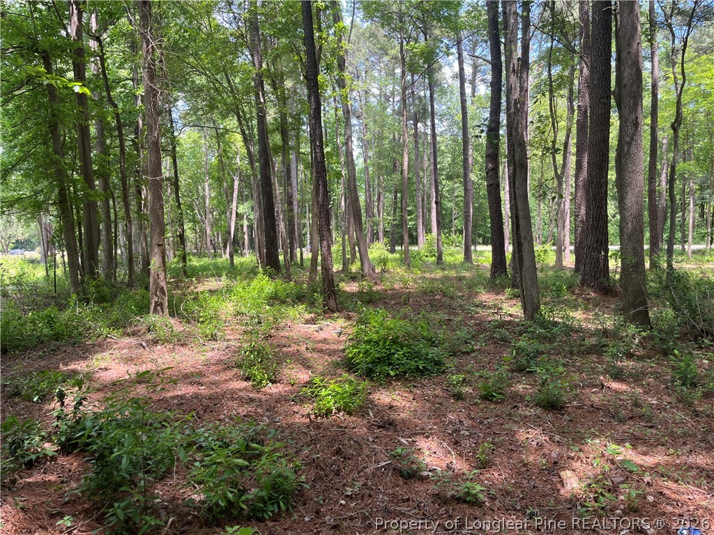 Land in Maxton 5