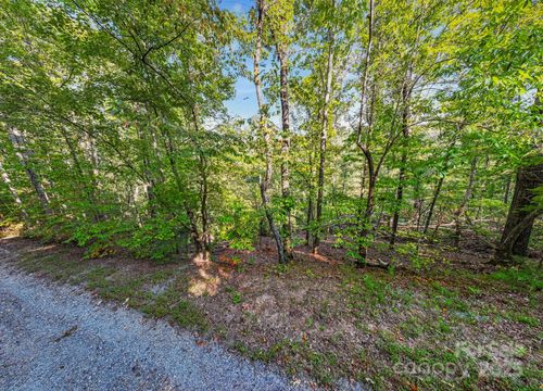 394 Doves Way, Lake Lure, NC, 28746-9053 | Card Image