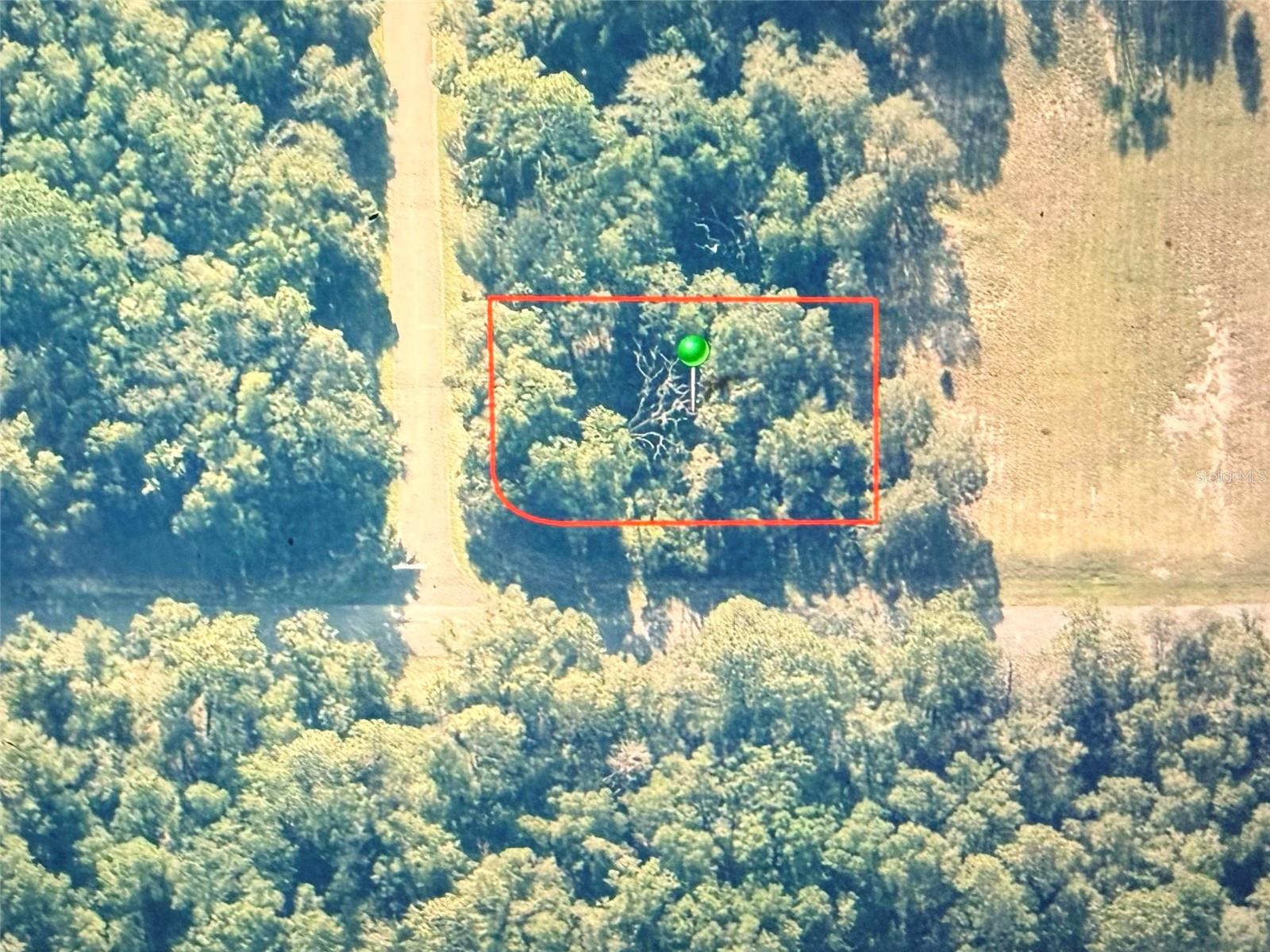 Land in DUNNELLON