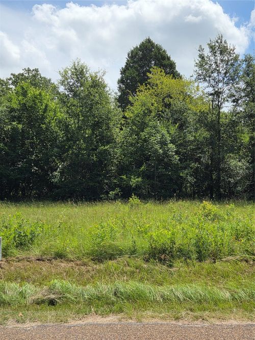 166 Deer Run Ln, Mabank, TX, 75156-7938 | Card Image