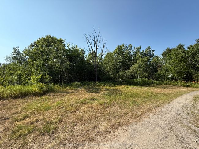 1087 Merkley Rd, House other with 3 bedrooms, 3 bathrooms and 10 parking in Gravenhurst ON | Image 14