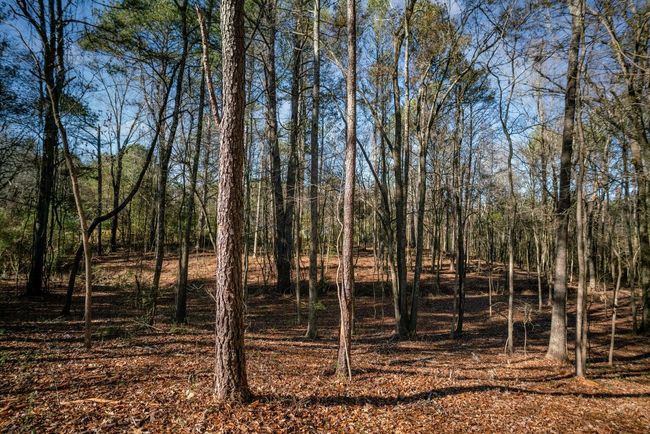 113 Ireland Ln, House other with 3 bedrooms, 2 bathrooms and null parking in CHICKAMAUGA GA | Image 34