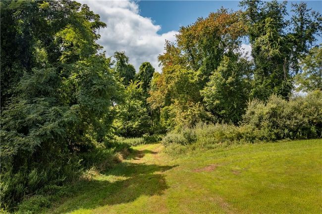 Tractor path through the tree row between the east and middle fields. | Image 4