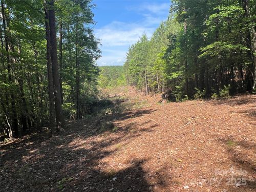 16-0 S Mountain Dr, Nebo, NC, 28761 | Card Image