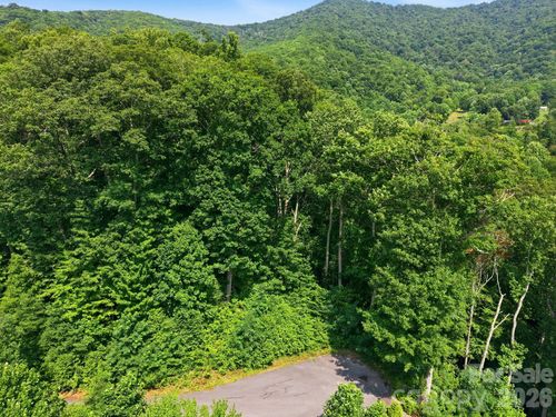 43-00 Triple Creek Dr, Clyde, NC, 28721 | Card Image