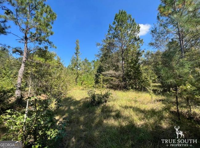 0 John S Horton Rd, Home with 0 bedrooms, 0 bathrooms and null parking in Adrian GA | Image 16
