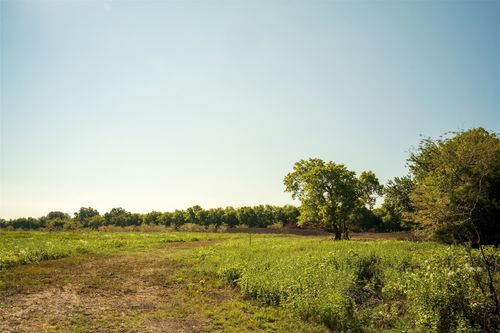 NA County Road 3660, Ladonia, TX, 75449 | Card Image