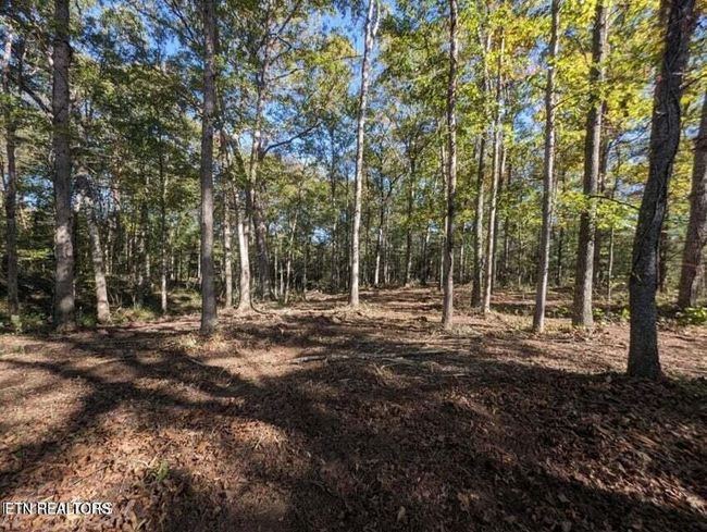 239 Sewell Dr, Home with 0 bedrooms, 0 bathrooms and null parking in Allardt TN | Image 9