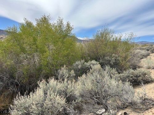 740 Chiatovich Creek Rd, Dyer, NV, 89010-8639 | Card Image