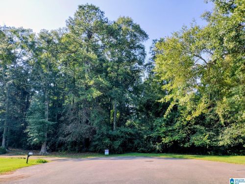 0-0 Lucille Cir, Roanoke, AL, 36274 | Card Image