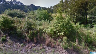 0 - 000 School Cutoff Road, Home with 0 bedrooms, 0 bathrooms and null parking in Jacksonville AL | Image 3