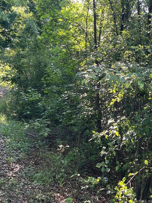 00 Markham St, Ward, AR, 72176 | Card Image
