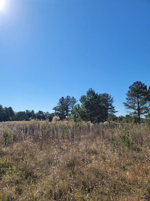 11 Lochridge Way, Cordele, GA, 31015-5372 | Card Image