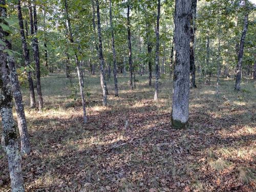 0 Arrowhead Rd, Mountain View, AR, 72560 | Card Image