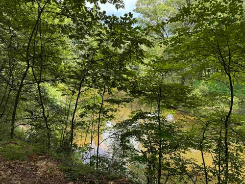 TBD River Run Trail, Chippewa Township, MI, 48858 | Card Image