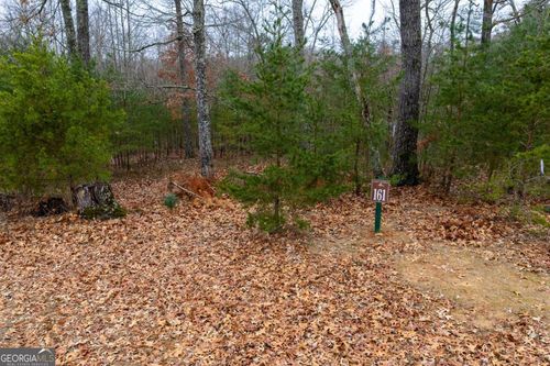 lot-161-161 Headwaters Ct, Cleveland, GA, 30528 | Card Image