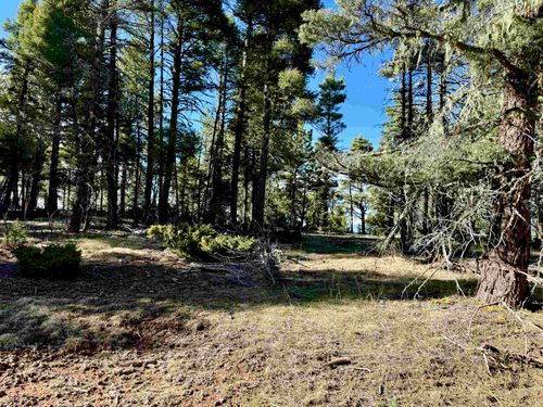 Lot 105 Calle De Los Indios, Angel Fire, NM, 87710 | Card Image