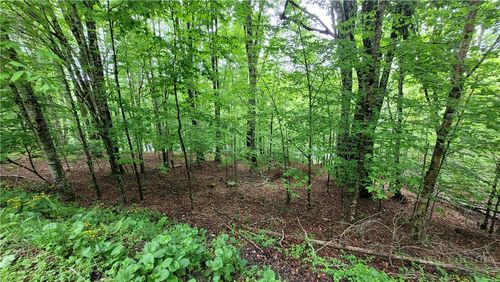 130 E Blueberry Ln, Beech Mountain, NC, 28604-8064 | Card Image