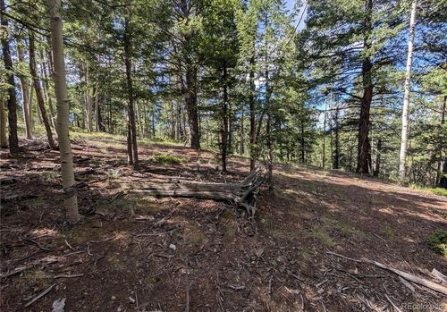 60 Fluorite Ln, Divide, CO, 80814-7765 | Card Image
