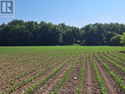 74018 Babylon Line, Zurich, ON, N0M2T0 | Card Image