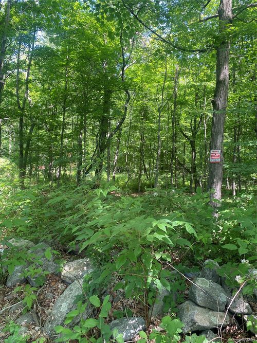 123 Meads Farm Rd, Stormville, NY, 12582-5759 | Card Image
