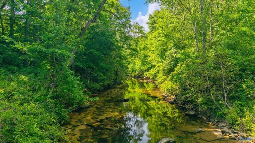 55 Road 9043, Mentone, AL, 35984 | Card Image