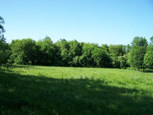 6109 Whiting Dr, McHenry, IL, 60050-1710 | Card Image