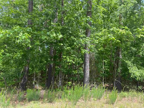 33 Gusta Ln, Hot Springs Village, AR, 71909-7965 | Card Image