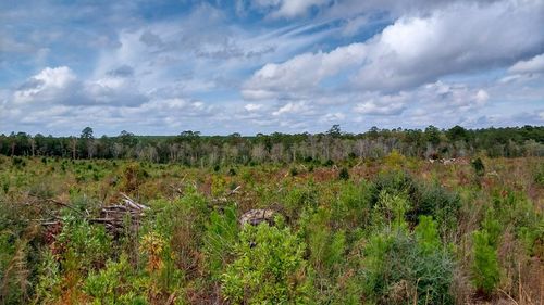 000 Pr 6150, Woodville, TX, 75979 | Card Image