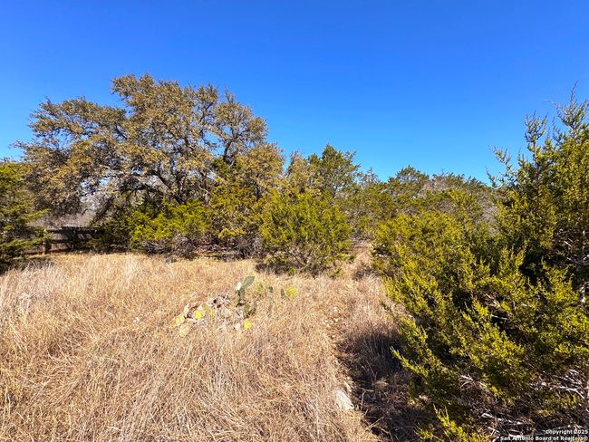 172 Rayner Ct, Home with 0 bedrooms, 0 bathrooms and null parking in Spring Branch TX | Image 9
