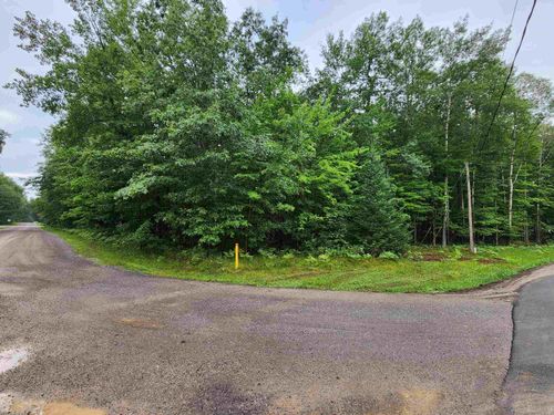 v/l Shadowbrook, Freeman Township, MI, 48632 | Card Image