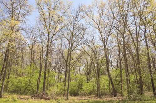 806 Echo Trl, MARENGO, IL, 60152-8057 | Card Image