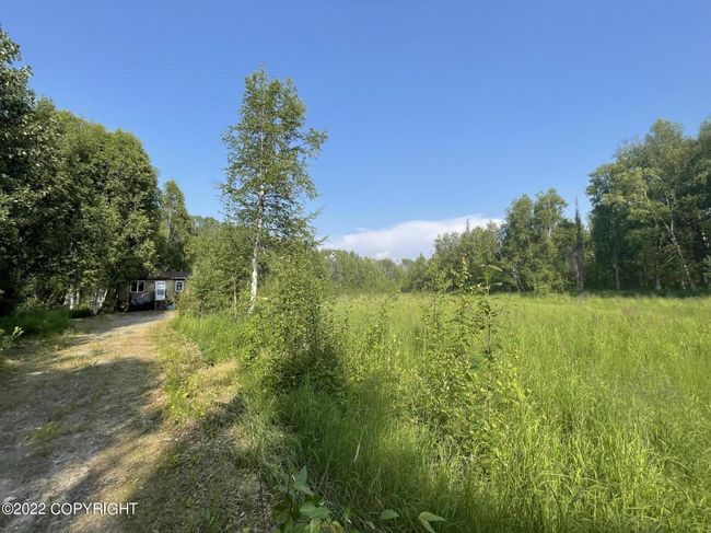 Coming Up the Drive Way | Image 22