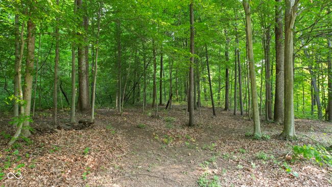 Enjoy private hiking trails on your own property. | Image 25