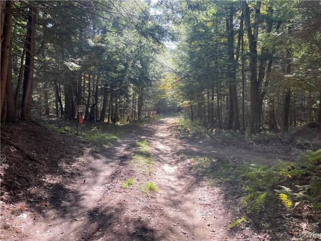 4184 Factory Rd, Home with 1 bedrooms, 0 bathrooms and null parking in Natural Bridge NY | Image 24